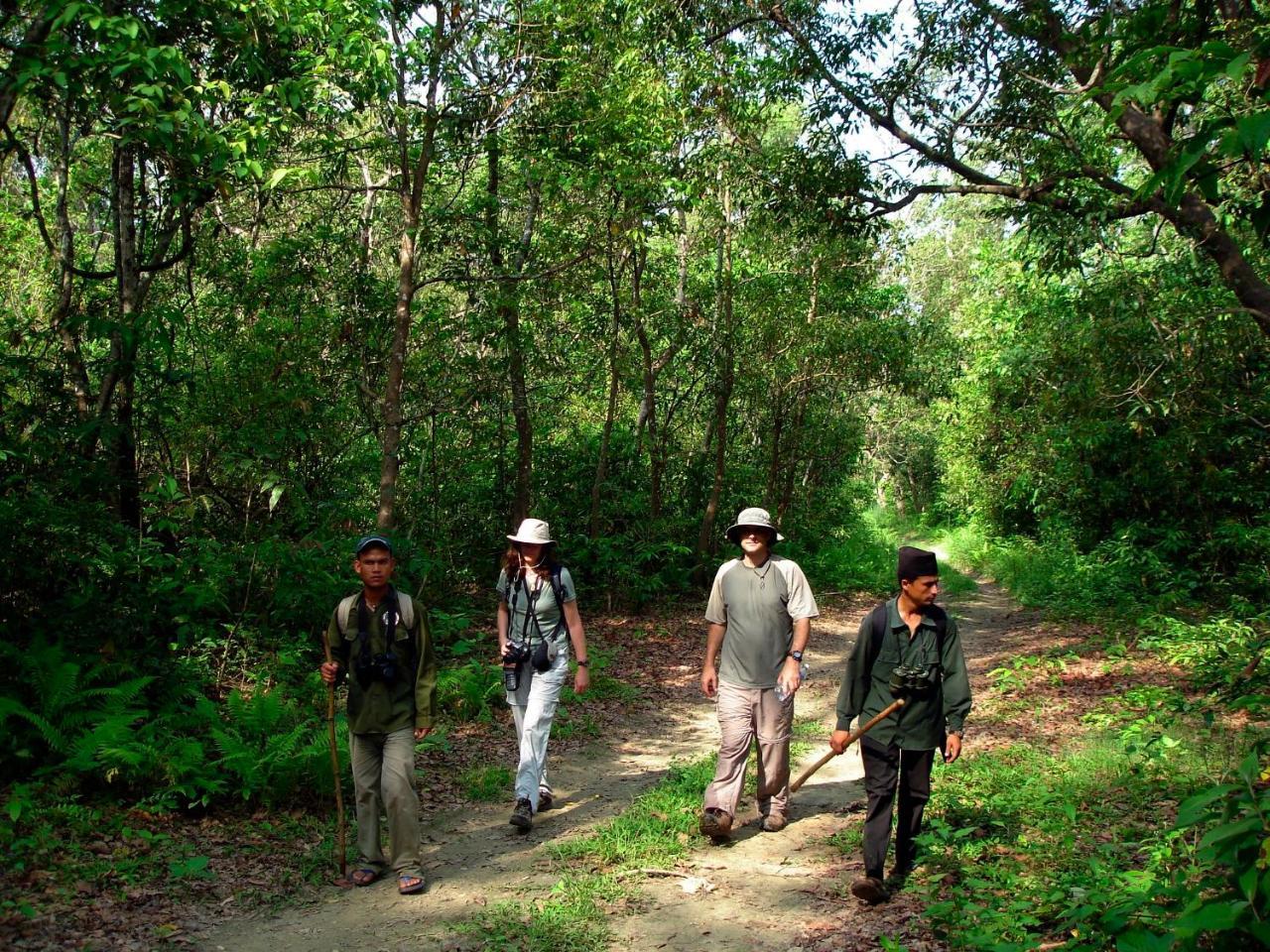 Park Safari Resort Sauraha Exterior photo