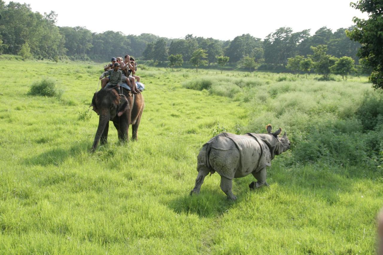 Park Safari Resort Sauraha Exterior photo